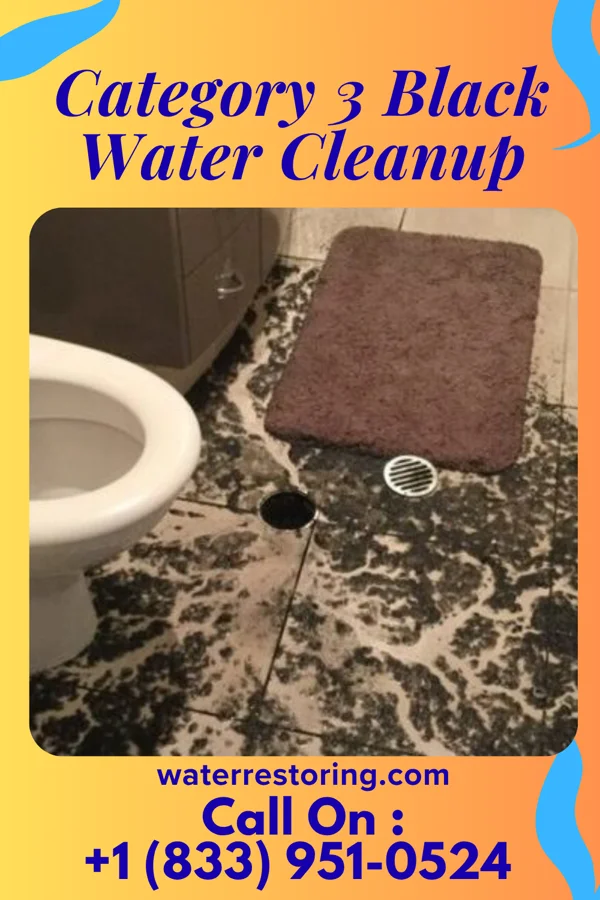 Category 3 Black Water Cleanup in Cedar Grove, IN
