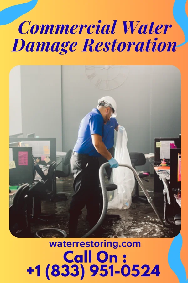 Commercial Water Damage Restoration in Cedar Grove, IN