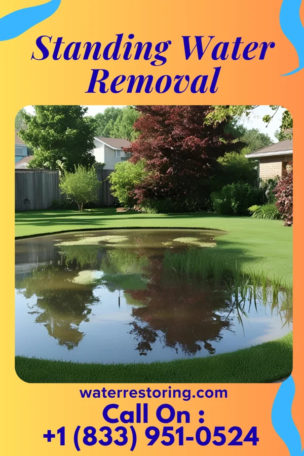 Standing Water Removal in Cedar Grove, IN
